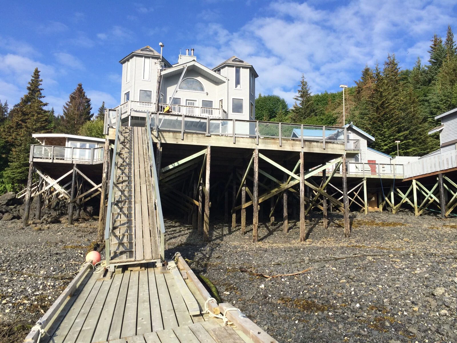 halibut cove low tide